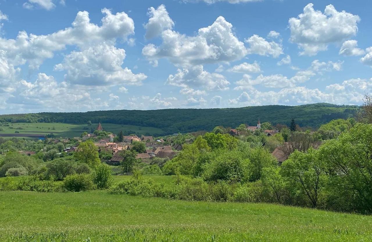 Pensiunea Sasaus 24 Hotel Karcfalva Kültér fotó